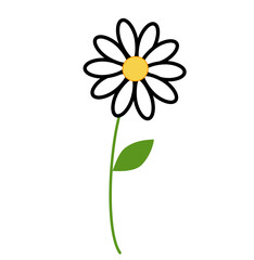 Daisy flower with green leaves in minimalist style.