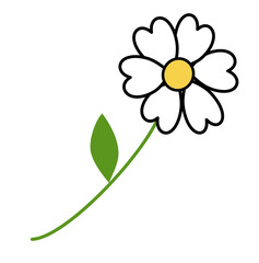 Minimal daisy flower with green stem in flat style.
