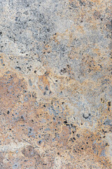 Detailed close-up view of a natural stone surface showcasing intricate textures, mineral patterns, and earthy tones in beige, gray, and brown.  