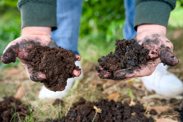 Close-up of two hands cradling a handful of highly fertile, dark soil enriched with organic matter, biochar, and thriving worms.
