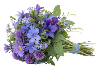 Campanula. Cut out blue and pink flowers. Flowerbed isolated on transparent background. Bush for garden design or landscaping