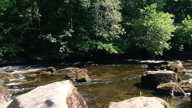 Hackfall Woods Ure River - Rippon, Yorkshire UK