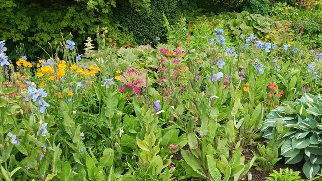 Flowers, Bridge and River - RHS Garden Harlow Carr - Harrogate, Yorkshire UK