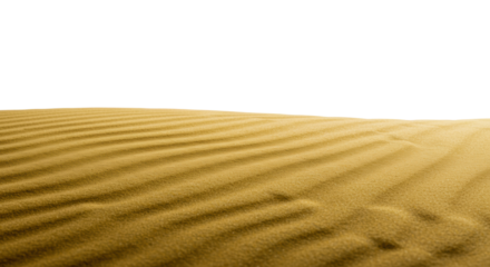 Golden sand dunes with exquisite rippled surfaces and sharp contours, under soft studio light, against an expansive transparent background, concept of new beginnings and clarity