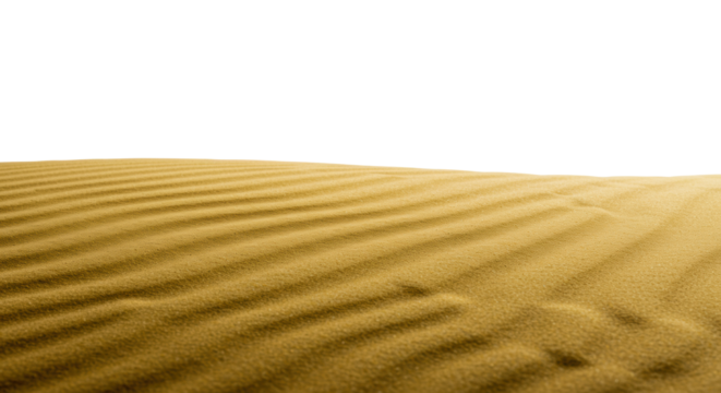 Golden sand dunes with exquisite rippled surfaces and sharp contours, under soft studio light, against an expansive transparent background, concept of new beginnings and clarity