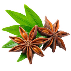 Star anise pods surrounded by vibrant green leaves, showcasing their unique star shape and texture
