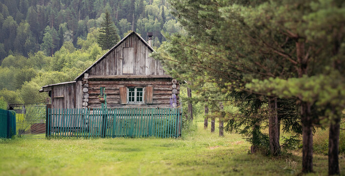 Rustic log cabin nestled among lush greenery, offering a sense of tranquility. The structure features a wooden shutters. Tall trees frame the cabin, emphasizing its isolation in a peaceful countryside