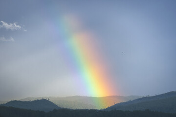 Bright rainbow arches over rolling hills after a refreshing rain shower in a serene landscape during early evening