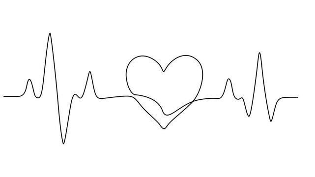 animation Single solid line art cardiogram anatomical human heart silhouette. Healthy medicine and love concept, Continuous line drawing of heart with heartbeats. 4K video animation with alpha channel