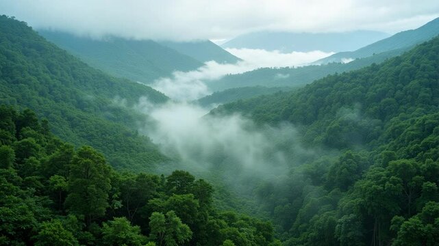 Majestic aerial drone footage captures misty Malaysian rainforest mountains at dawn, showcasing breathtaking natural beauty and serene atmosphere for travel inspiration.
