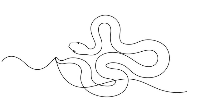 Snake outline self drawing animation. Animated line on white background, Deadly black mamba mascot concept for dangerous snake lover icon. Full length single line animation, Continuous line self draw.