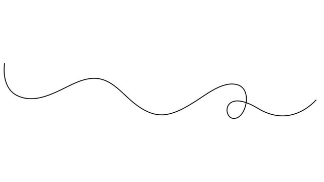 Squiggle line animation continuous one line drawing, Abstract hand drawn dividing thin wave continuous line on white background, Self drawing simple animation of line. Animated continuous on pro style