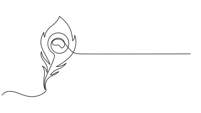 Peacock Feather continuous one line drawing animation, Abstract peacock feather, Self drawing animation one continuous line draw, logo, Animation of one single line drawing of beautiful peacock