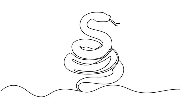 snake animation continuous one line drawing, Animated self drawing of single continuous line draw venomous snake for business logo identity. Deadly black mamba mascot concept for company brand icon.