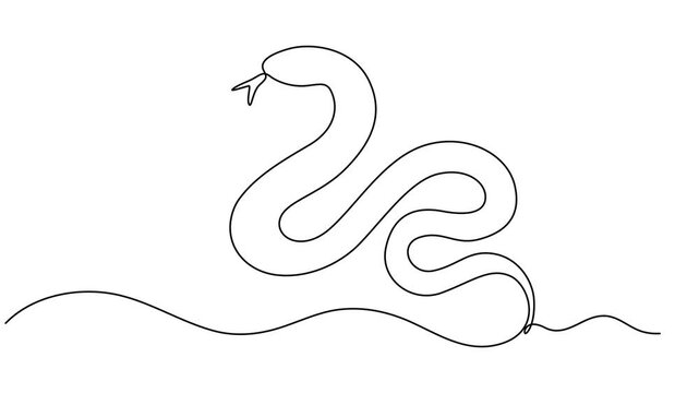 snake animation continuous one line drawing, Animated self drawing of single continuous line draw venomous snake for business logo identity. Deadly black mamba mascot concept for company brand icon.