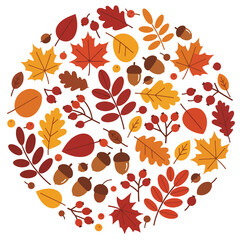 Autumn Fall Leaves Acorns Berries Circle.