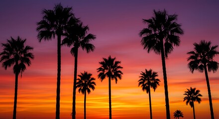 Sunset Silhouette Serenade