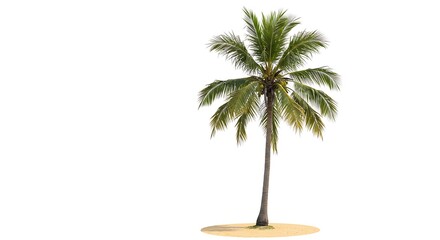 Tropical Serenity: A Digital Palm