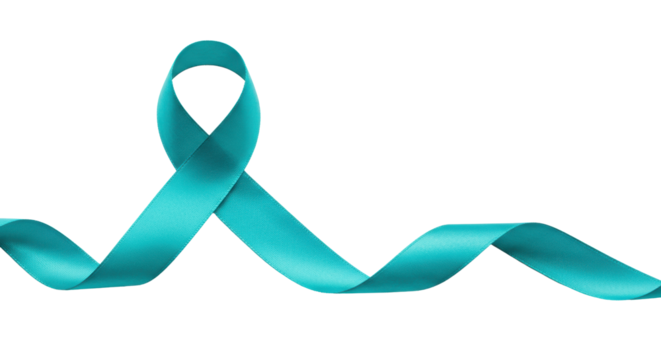 A high-quality, vibrant teal fabric ribbon with a single elegant loop, flowing horizontally against a transparent background, soft studio lighting. Concept of unity and support