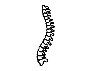 Simple outline of a human spine