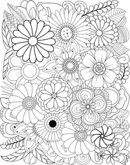 Intricate detailed floral pattern coloring page for relaxation and creativity transparent background