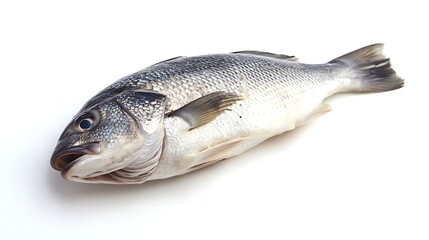 Fresh fish laid on a clean white surface for preparation.