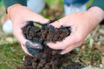 Adding biochar to soil for improving fertility and CO2 reduction. It enhances soil health and promotes sustainable carbon storage. Carbon farming, sustainable farming.