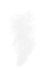 Realistic dense white steam or smoke cloud with transparent background perfect for depicting fire, industrial pollution, vapor, or explosion effects in visual design, illustration, or compositing