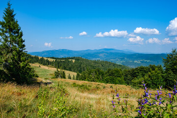 Beskid Żywiecki © Aleksandra