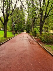 alley in the park