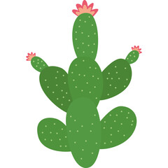 Cactus Tree Vector