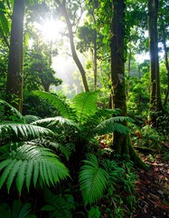 Lush rainforest scene, sunlight filtering