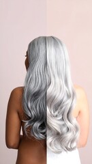 Naklejka premium Woman's hair, half gray, half natural color