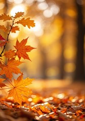 Vibrant golden and orange maple and oak leaves beautifully illuminated by warm sunlight, crafting a stunning and serene autumn forest path