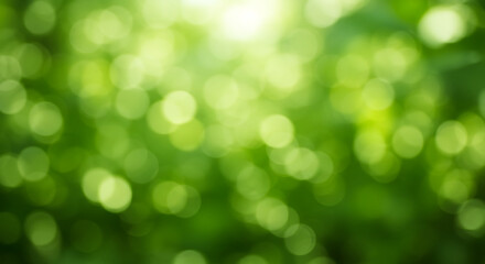 Obraz premium Abstract Green Bokeh Background, Nature Light Spots