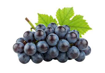 Fototapeta premium Photorealistic dark purple grapes with natural bloom, vibrant green leaves & brown stem, isolated on bright white background with soft studio light, healthy food concept