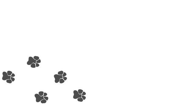 Animal paw prints.  Hippopotamus  paw prints on a white background.  4K.  Animated Video