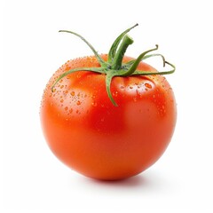 Single, ripe tomato with water droplets, isolated on white
