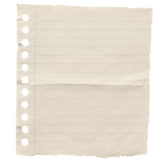 Obraz premium Ripped Notebook Paper with Torn Edges