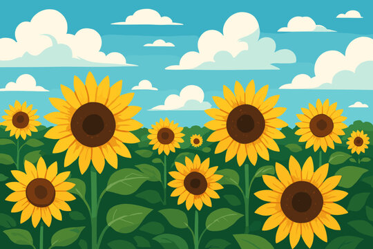Sunflower field vector background. Summer nature landscape with yellow flowers and blue sky with clouds. Agriculture farming concept illustration. Modern flat cartoon vector graphic.