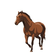Obraz premium Horse vector illustration