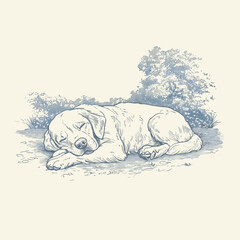 Sleeping puppy surrounded by plants