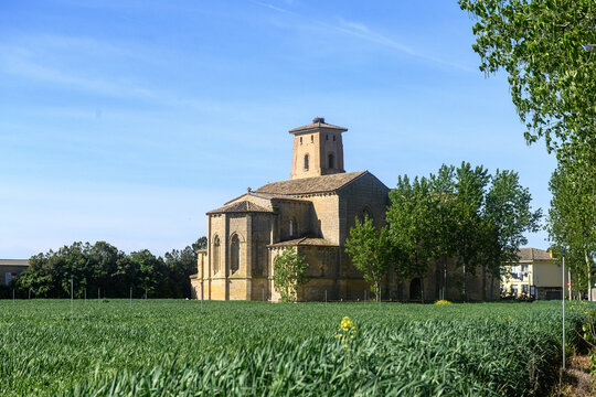 Romanesque monastery of Santa Cruz de la Zarza, located in Rivas de Campo
