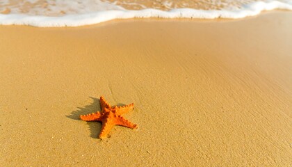 A vibrant orange starfish rests on a golden sandy beach, bathed in soft sunlight.