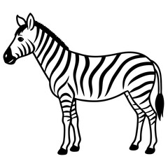 zebra vector illustration