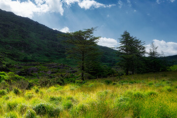 A vibrant green, grassy field stretches toward a dark mountain slope. Scattered trees punctuate the...