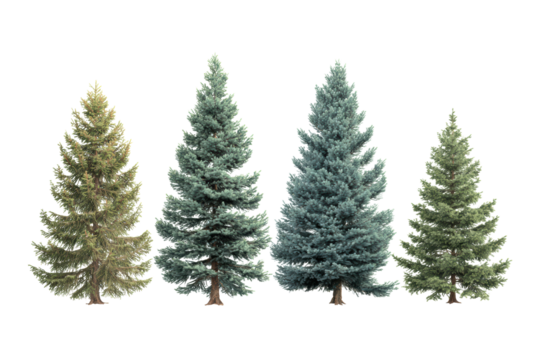 Four trees of different sizes and colors are shown in a row. The trees are all green, with one being the tallest and the other three being smaller. Concept of growth and diversity