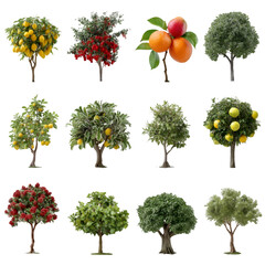 Twelve Isolated Fruit and Ornamental Trees; Vibrant, Lush, Studio Photography;  High-Resolution Images for Design, Isolated on Transparent Background