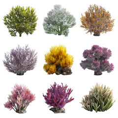 Vibrant Artificial Coral Reef Plants: Nine Diverse Colors, High-Resolution Images for Aquarium or Underwater Designs, Isolated on Transparent Background.