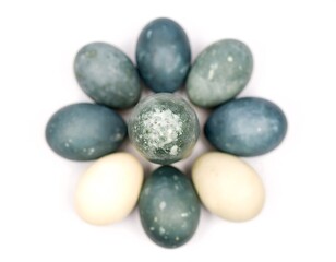A flower arrangement of dyed eggs